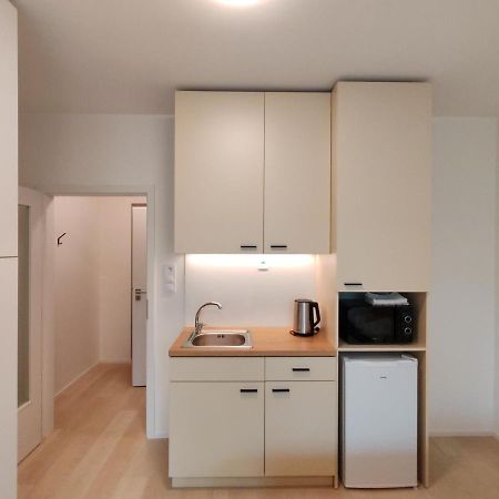 A Star Apartment Brno With Terrace Экстерьер фото