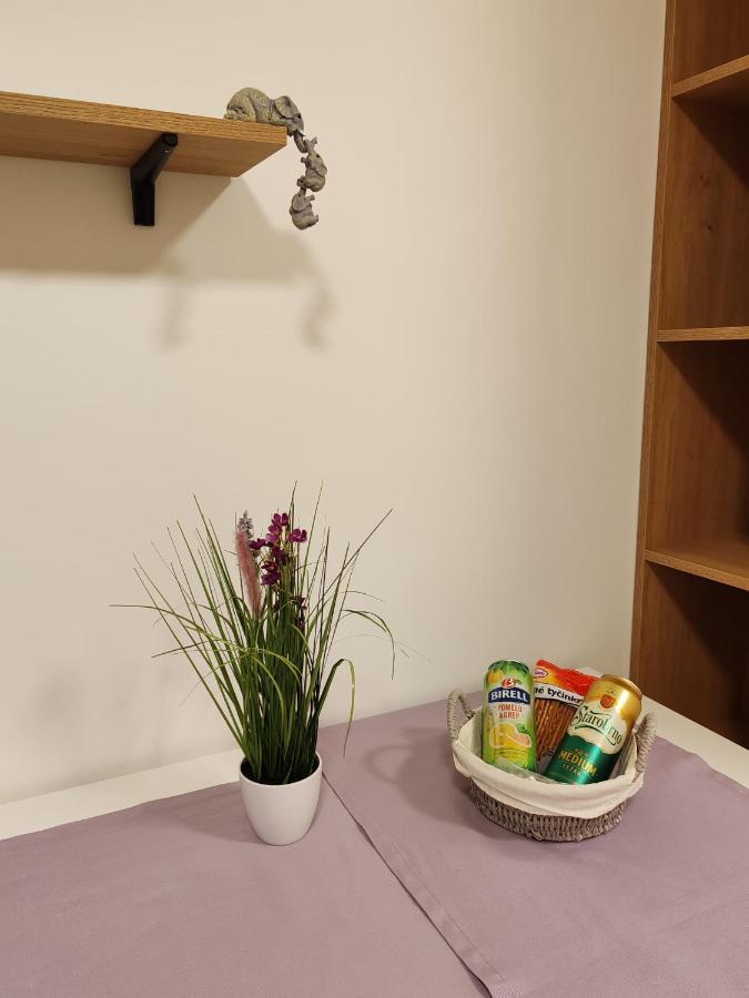 A Star Apartment Brno With Terrace Экстерьер фото